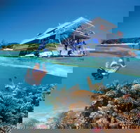 3-Day Southern Great Barrier Reef Tour Including Lady Musgrave Island - Accommodation Melbourne