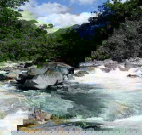 Daintree Rainforest Cape Tribulation Mossman Gorge in a day - Accommodation Melbourne