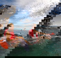 Moreton Island Day Trip Kayak Snorkel  Sandboard frm Brisbane or Gold Coast - Accommodation Melbourne