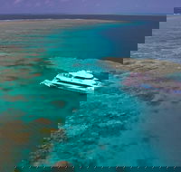 Silversonic Outer Great Barrier Reef Dive and Snorkel Cruise from Port Douglas - Accommodation Melbourne