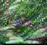 Full Day Daintree Rainforest and Mossman Gorge Tour - Accommodation Melbourne