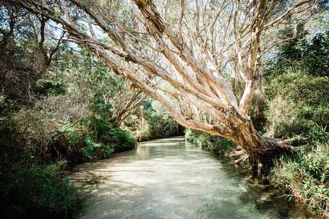 All-Inclusive 2-Day Fraser Island Tour - Accommodation Melbourne 11