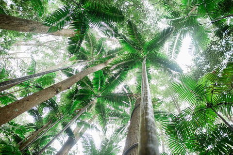 All-Inclusive 2-Day Fraser Island Tour - Accommodation Melbourne 8