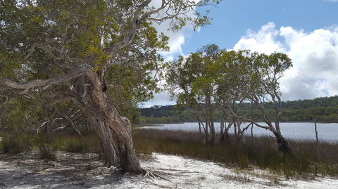 North Stradbroke Island Day Trip From Brisbane - Accommodation Melbourne 14