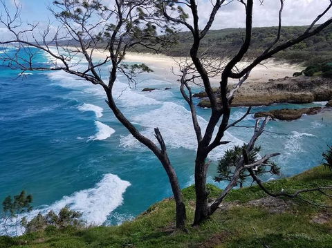 North Stradbroke Island Day Trip From Brisbane - Accommodation Melbourne 5