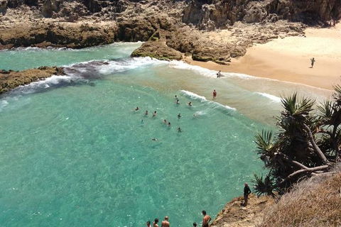 North Stradbroke Island Day Trip From Brisbane - Accommodation Melbourne 1