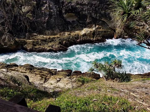 North Stradbroke Island Day Trip From Brisbane - Accommodation Melbourne 7