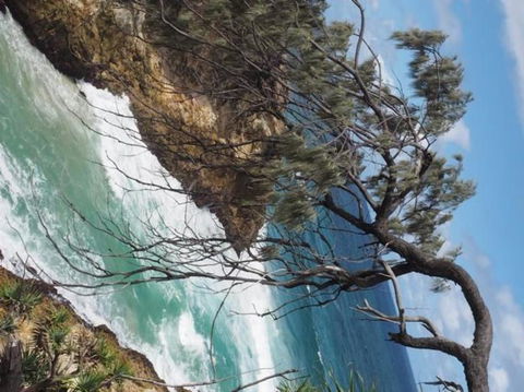North Stradbroke Island Day Trip From Brisbane - Accommodation Melbourne 16