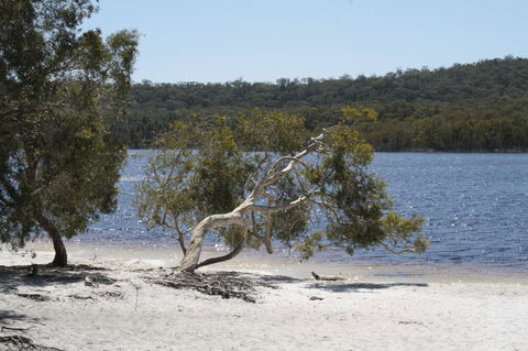North Stradbroke Island Day Trip From Brisbane - Accommodation Melbourne 24