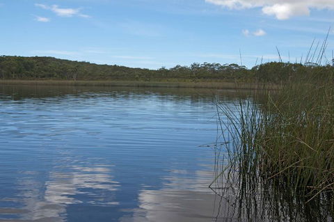 North Stradbroke Island Day Trip From Brisbane - Accommodation Melbourne 22