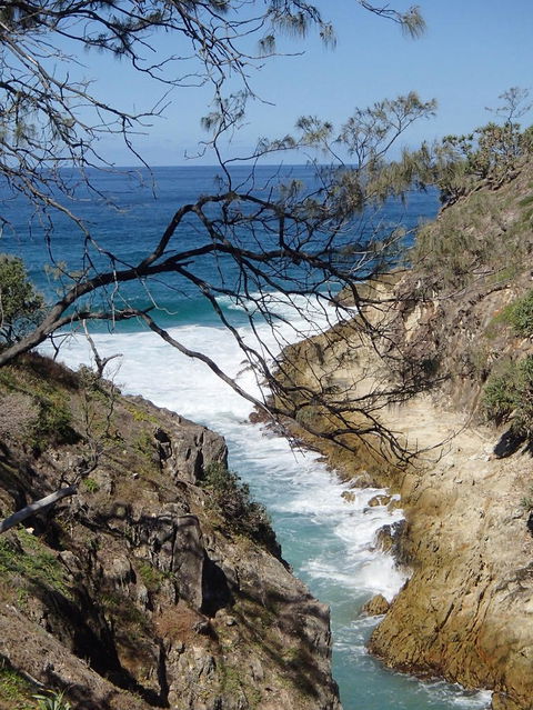 North Stradbroke Island Day Trip From Brisbane - Accommodation Melbourne 25