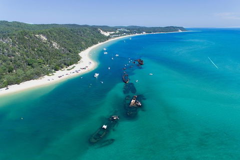 Cape Moreton Scenic 4WD Day Tour From Brisbane Or The Gold Coast - Accommodation Melbourne 8