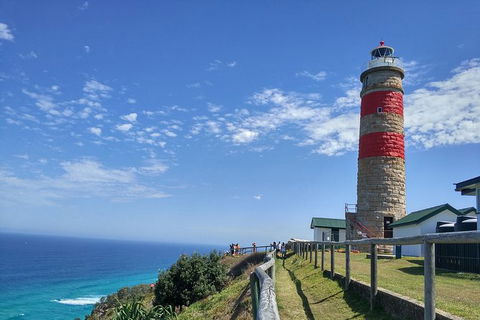 Cape Moreton Scenic 4WD Day Tour From Brisbane Or The Gold Coast - Accommodation Melbourne 6