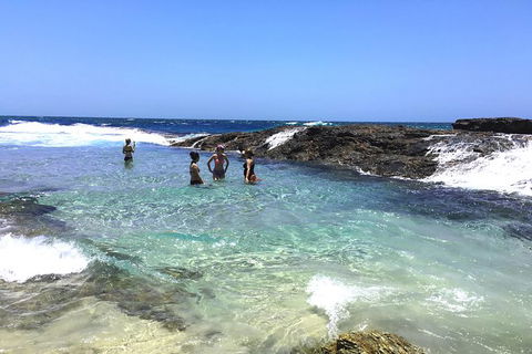 Cape Moreton Scenic 4WD Day Tour From Brisbane Or The Gold Coast - Accommodation Melbourne 3