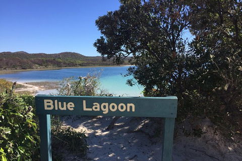 Cape Moreton Scenic 4WD Day Tour From Brisbane Or The Gold Coast - Accommodation Melbourne 4