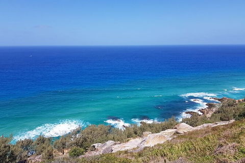Cape Moreton Scenic 4WD Day Tour From Brisbane Or The Gold Coast - Accommodation Melbourne 7
