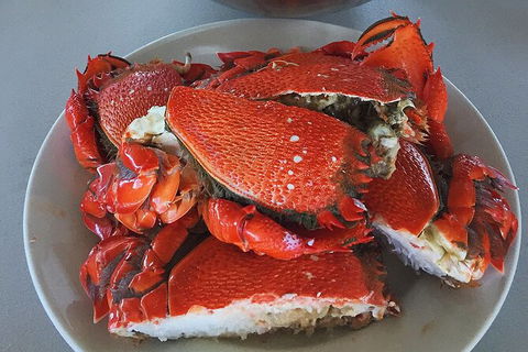Crab Trip From Gold Coast - Accommodation Melbourne 28