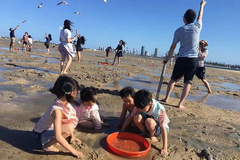 Crab Trip From Gold Coast - Accommodation Melbourne 32