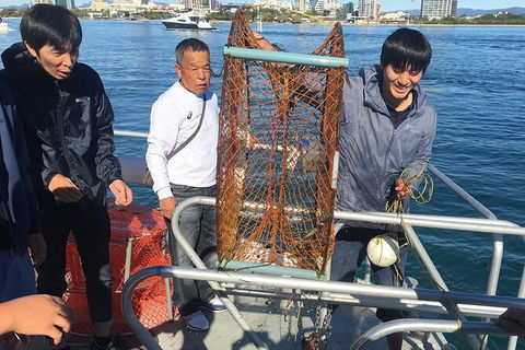 Crab Trip From Gold Coast - Accommodation Melbourne 35