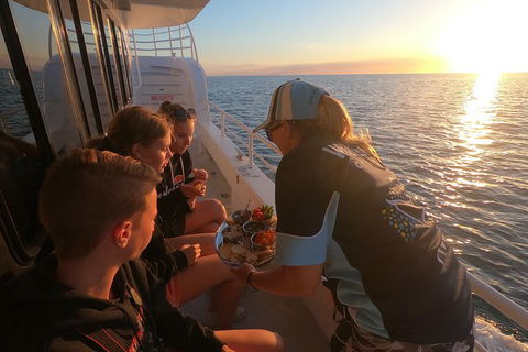 Hervey Bay Whale Watching Experience - Accommodation Melbourne 15