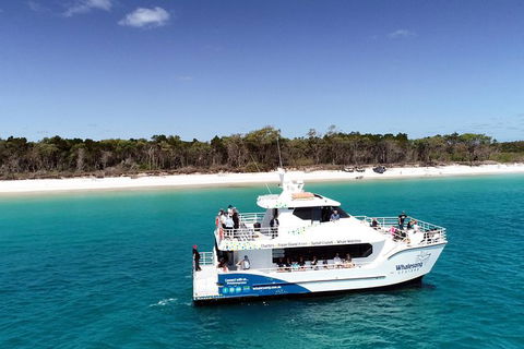 Hervey Bay Whale Watching Experience - Accommodation Melbourne 11