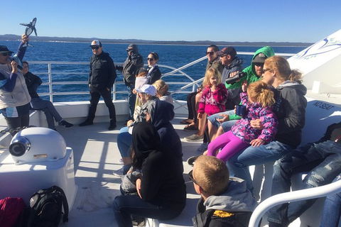 Hervey Bay Whale Watching Experience - Accommodation Melbourne 10