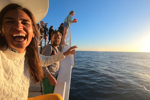 Hervey Bay Whale Watching Experience - Accommodation Melbourne 9