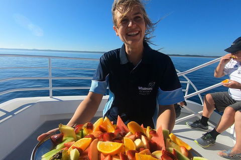 Hervey Bay Whale Watching Experience - Accommodation Melbourne 5