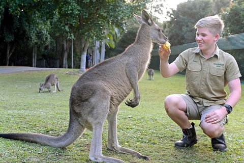 Small-Group Australia Zoo Day Trip From Brisbane - Accommodation Melbourne 6