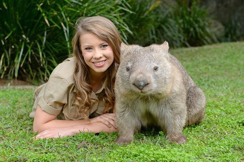 Small-Group Australia Zoo Day Trip From Brisbane - Accommodation Melbourne 5
