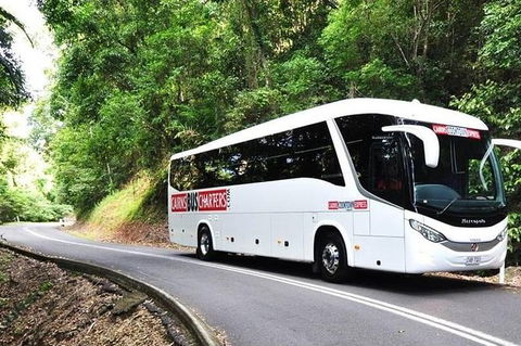 Palm Cove Departure Transfer - Palm Cove To Airport - Accommodation Melbourne 1