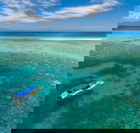 Ocean Safari Great Barrier Reef Experience in Cape Tribulation - Accommodation Melbourne