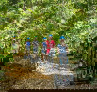 Whitsunday Segway Rainforest Discovery Tour - Accommodation Melbourne