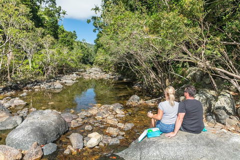 Whitsunday Segway Rainforest Discovery Tour - Accommodation Melbourne 4