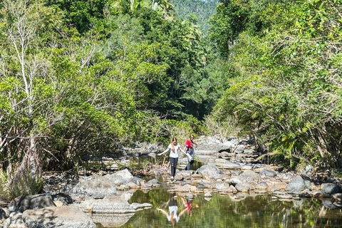 Whitsunday Segway Rainforest Discovery Tour - Accommodation Melbourne 10