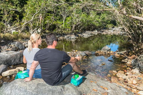 Whitsunday Segway Rainforest Discovery Tour - Accommodation Melbourne 6