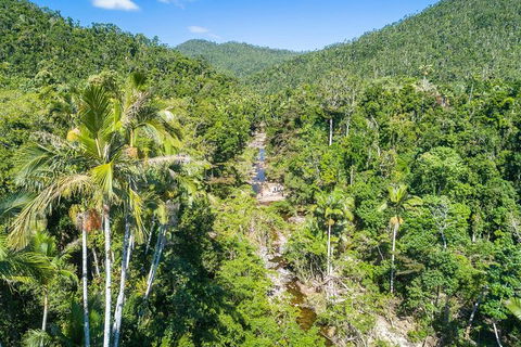 Whitsunday Segway Rainforest Discovery Tour - Accommodation Melbourne 5