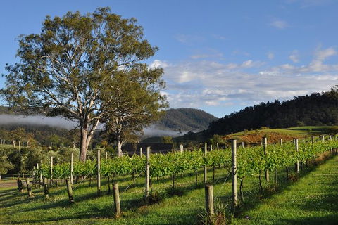Full Day Mount Tamborine Winery Tour From Gold Coast - Accommodation Melbourne 15