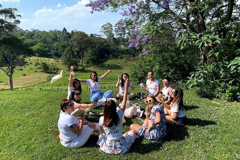 Full Day Mount Tamborine Winery Tour From Gold Coast - Accommodation Melbourne 11