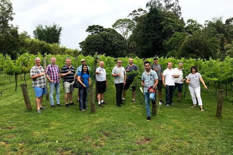 Full Day Mount Tamborine Winery Tour From Gold Coast - Accommodation Melbourne 7