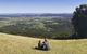 Full Day Mount Tamborine Winery Tour From Gold Coast - thumb 12