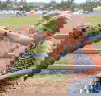 Camel Farm Deluxe Experience - Accommodation Melbourne