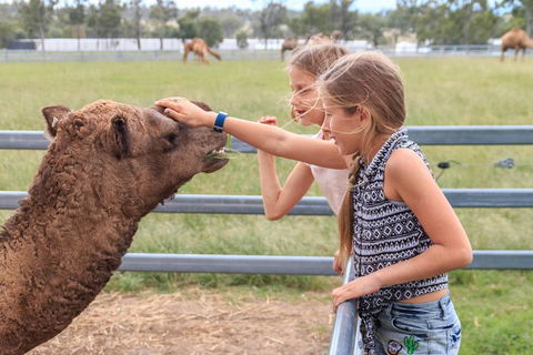 Camel Farm Deluxe Experience - Accommodation Melbourne 0