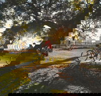 Brisbane Bike Tour - Accommodation Melbourne