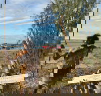 Goolimbil Walkabout Indigenous Experience in the Town of 1770 - Accommodation Melbourne