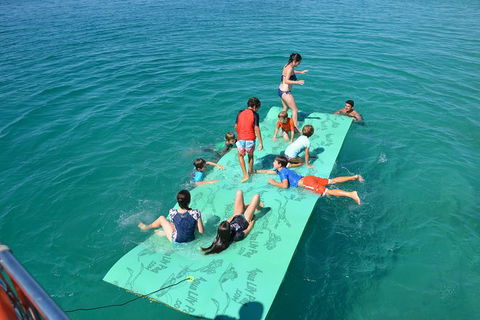 Fraser Island & Dolphin Sailing Adventure - Accommodation Melbourne 6