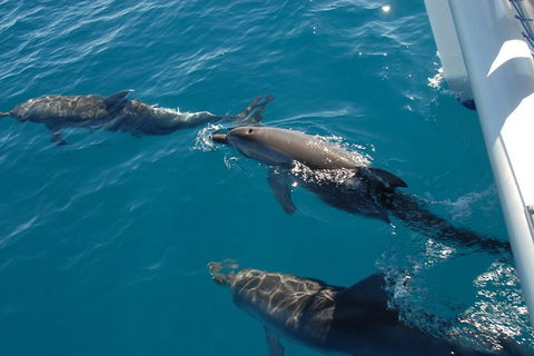 Fraser Island & Dolphin Sailing Adventure - Accommodation Melbourne 2