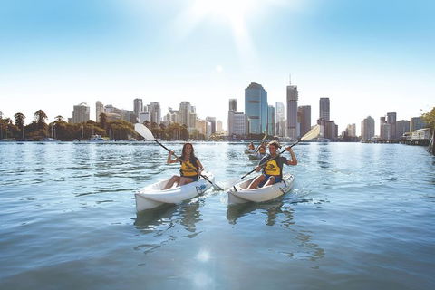 Brisbane Kayak Tour - Accommodation Melbourne 4