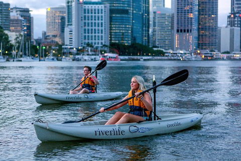 Brisbane Kayak Tour - Accommodation Melbourne 3