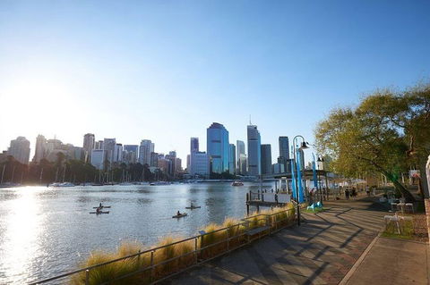 Brisbane Kayak Tour - Accommodation Melbourne 6